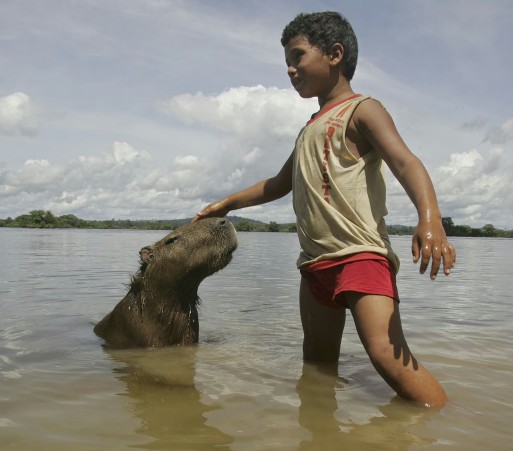 Capybara
